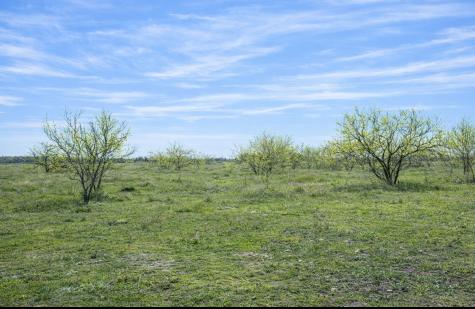 194 Lcr 614 Groesbeck TX 76642