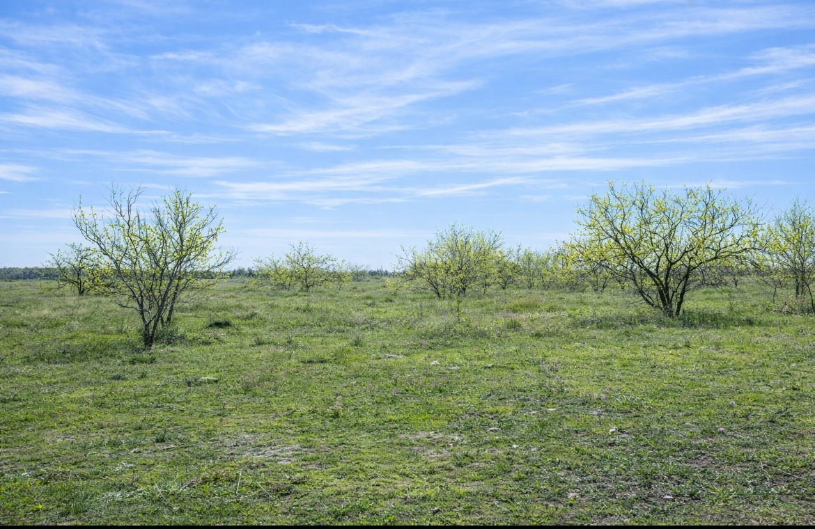 194 Lcr 614 Groesbeck TX 76642