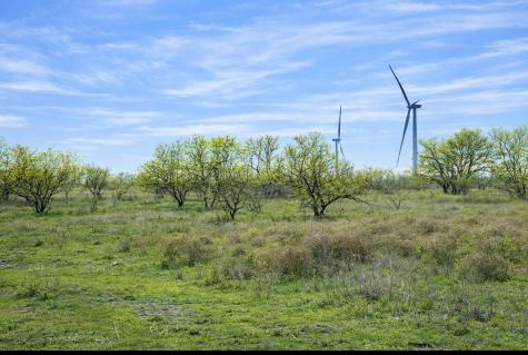 194 Lcr 614 Groesbeck TX 76642