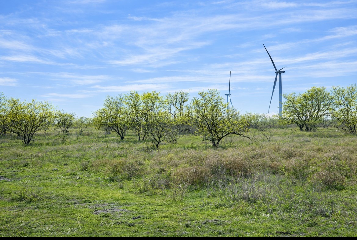 194 Lcr 614 Groesbeck TX 76642