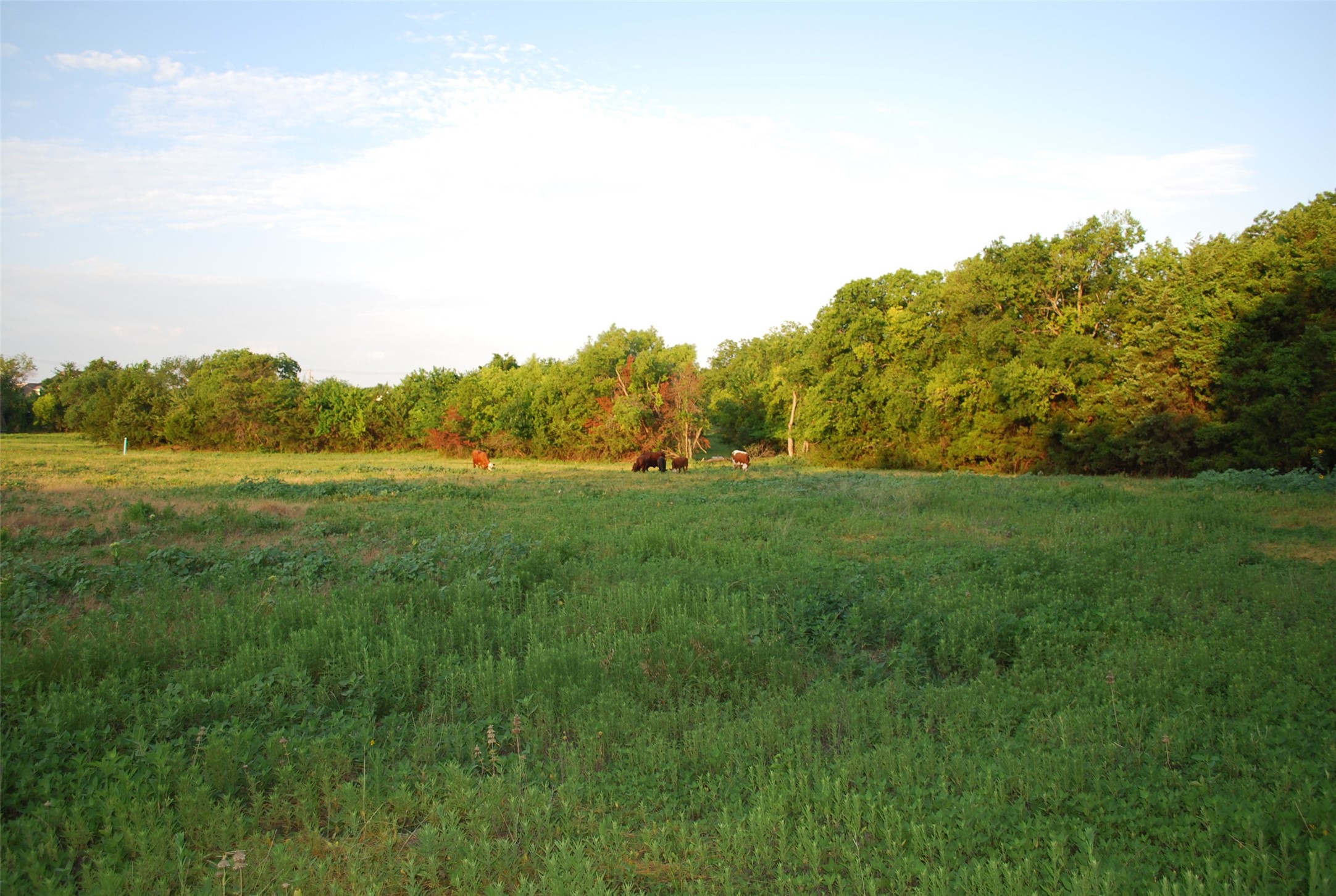 337 Smirl Lane Heath TX 75032