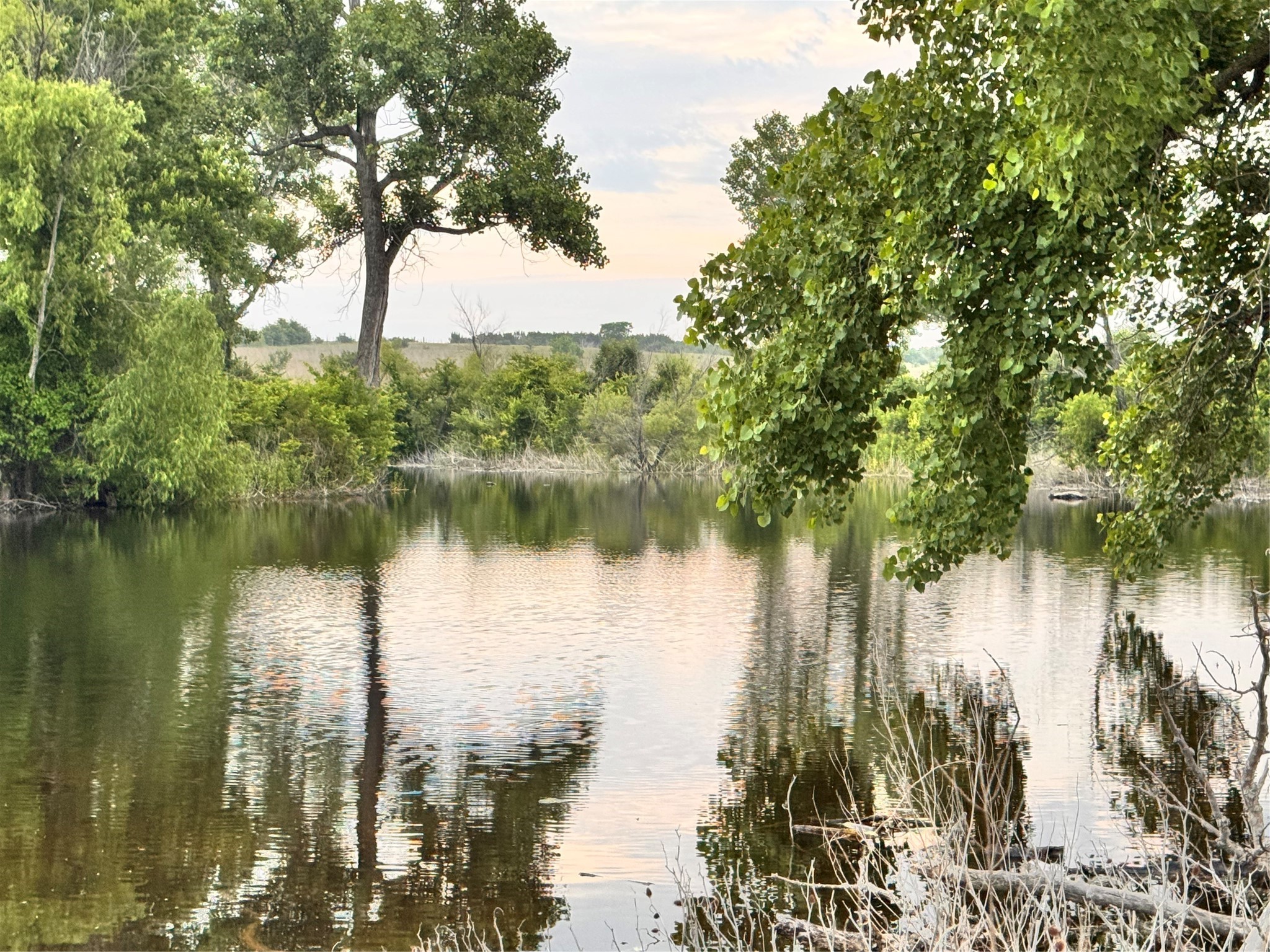 Tbd Fm 2331 Godley TX 76044