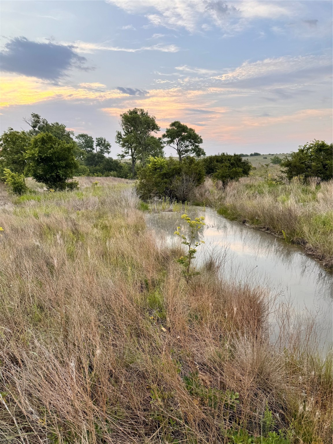 Tbd Fm 2331 Godley TX 76044