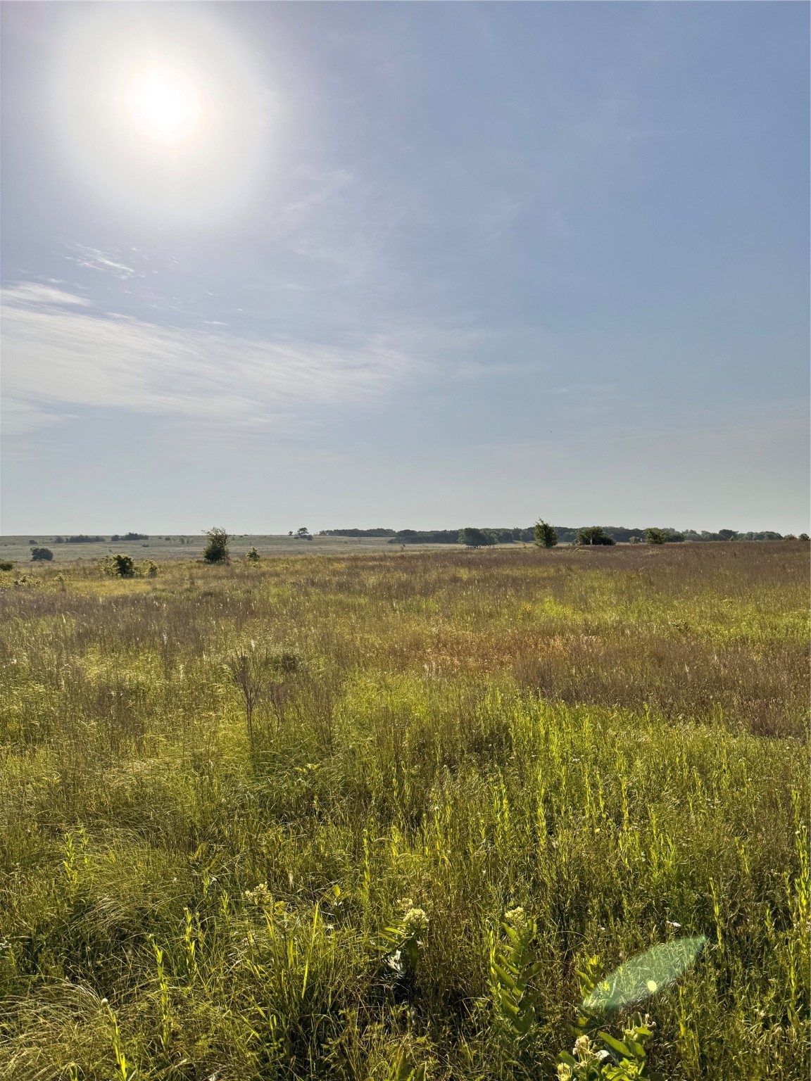 Tbd Fm 2331 Godley TX 76044