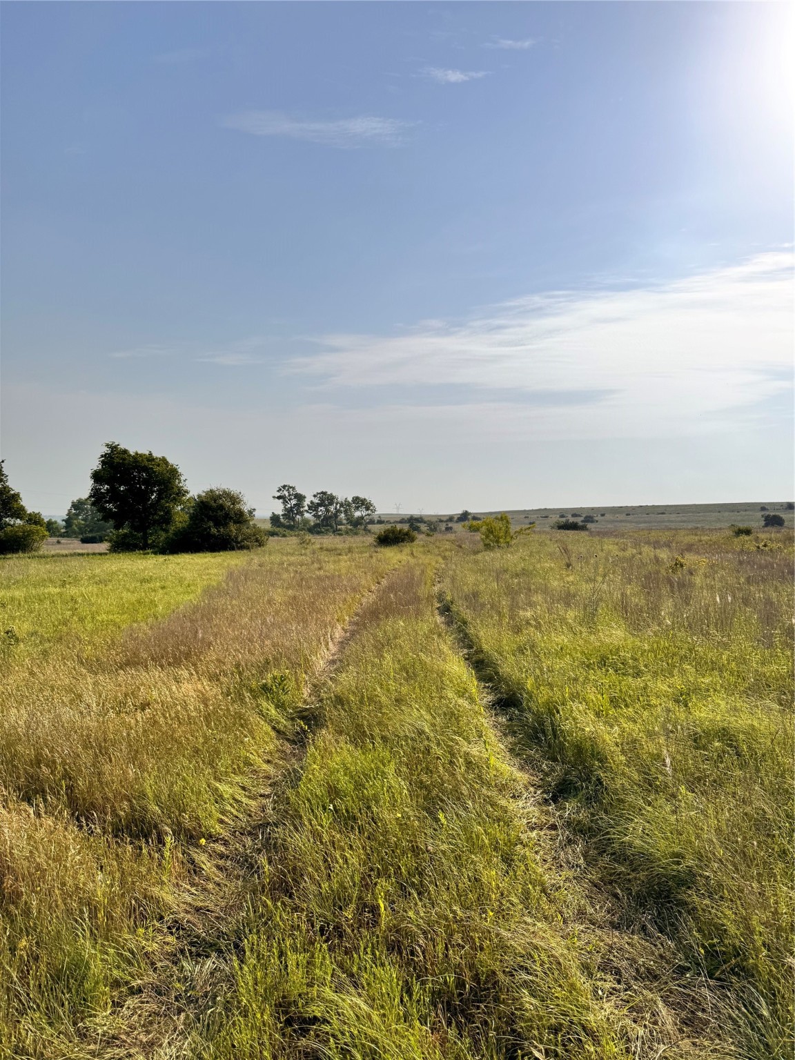 Tbd Fm 2331 Godley TX 76044