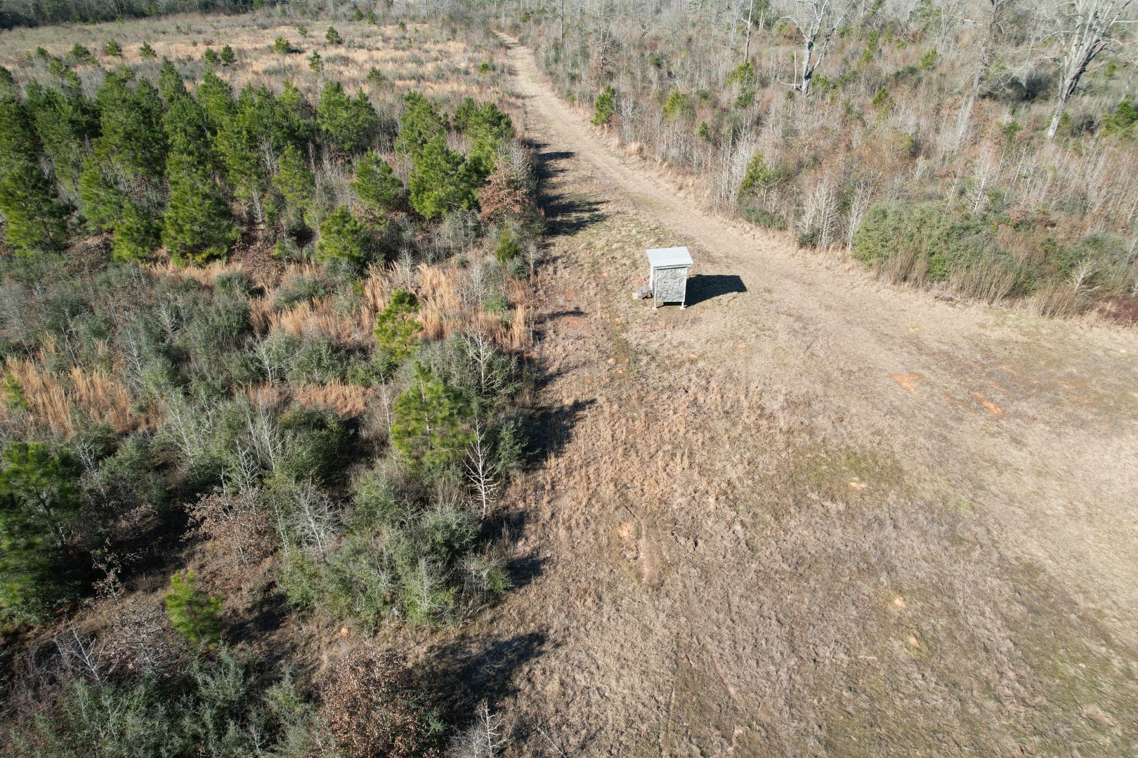 Tbd-b County Road 4021 Timpson TX 75975