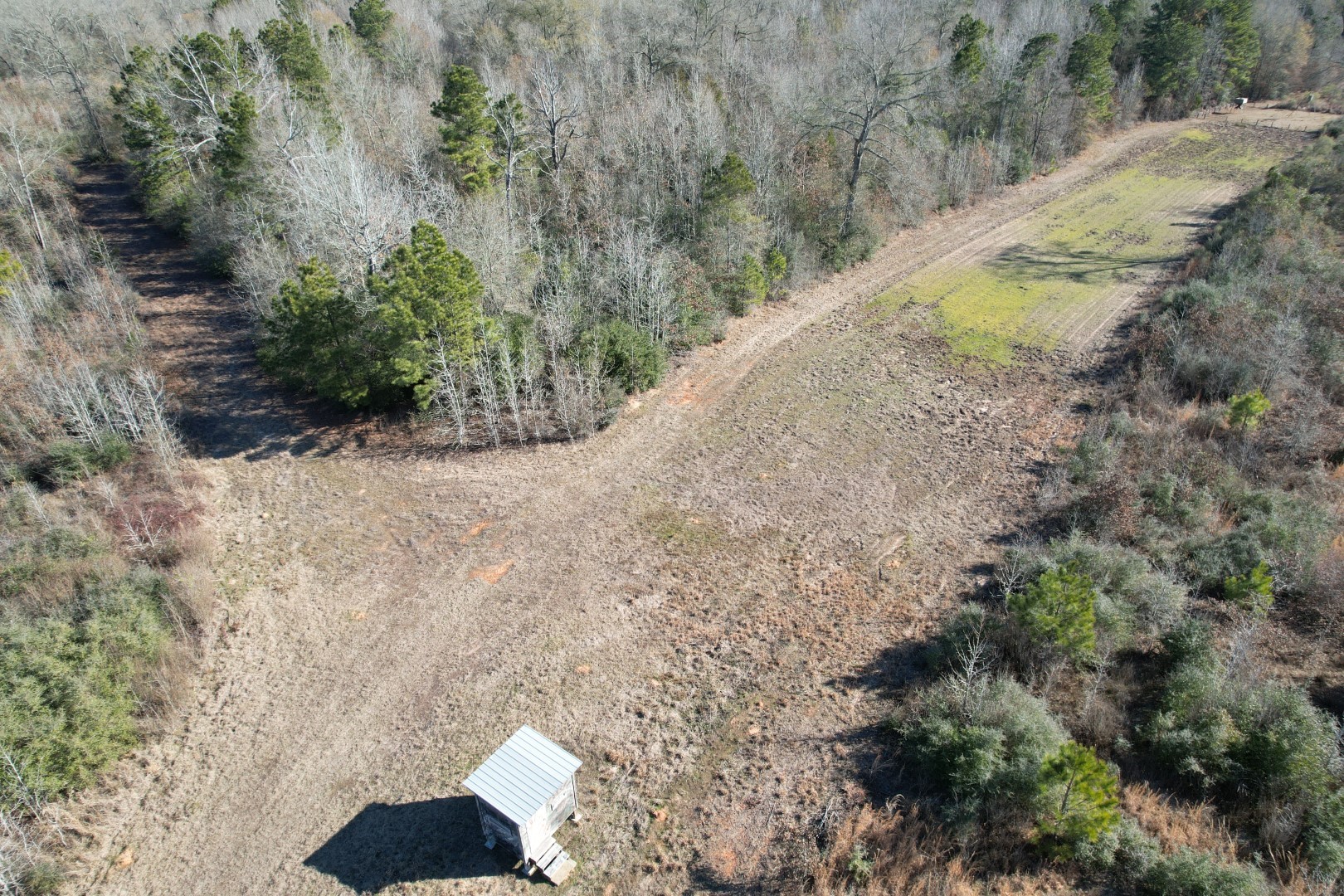 Tbd-b County Road 4021 Timpson TX 75975
