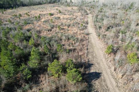 Tbd-b County Road 4021 Timpson TX 75975