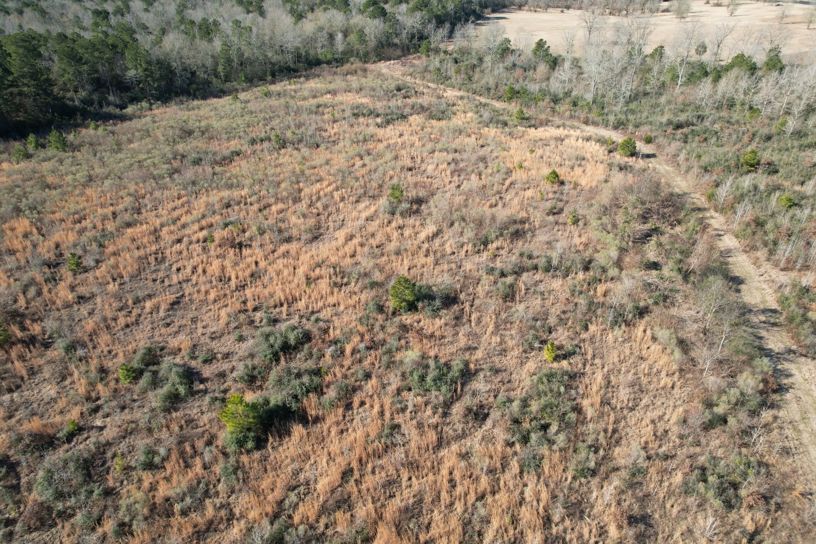 Tbd-b County Road 4021 Timpson TX 75975