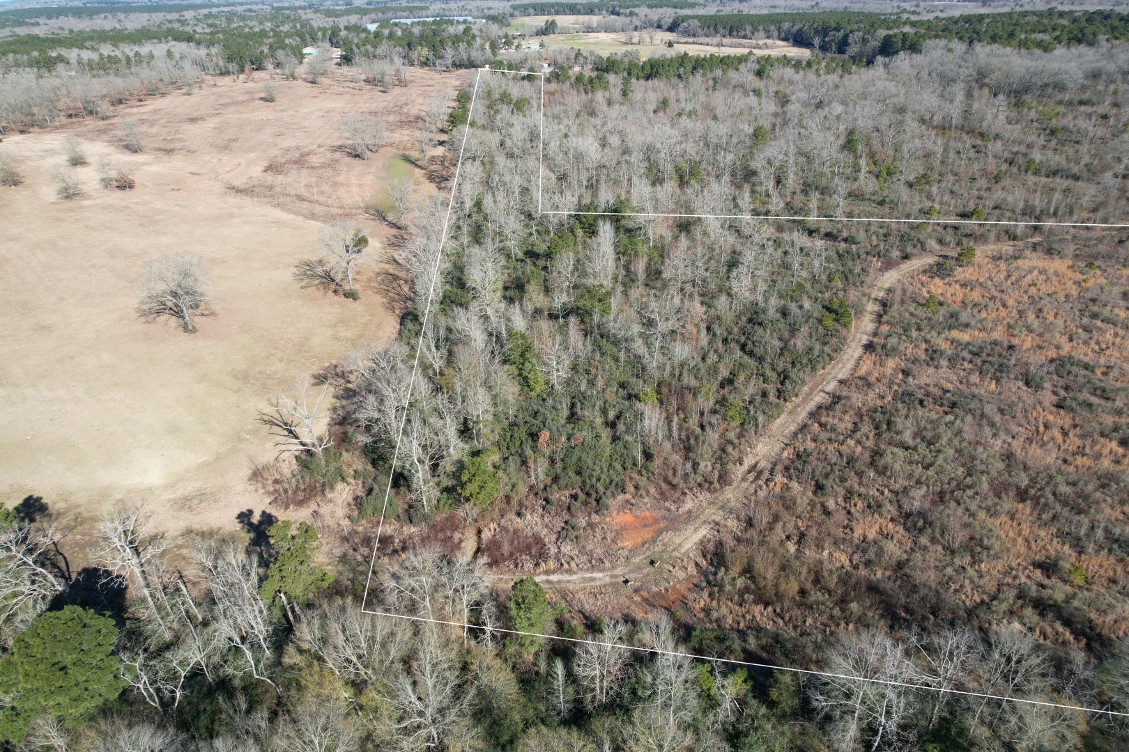 Tbd-b County Road 4021 Timpson TX 75975