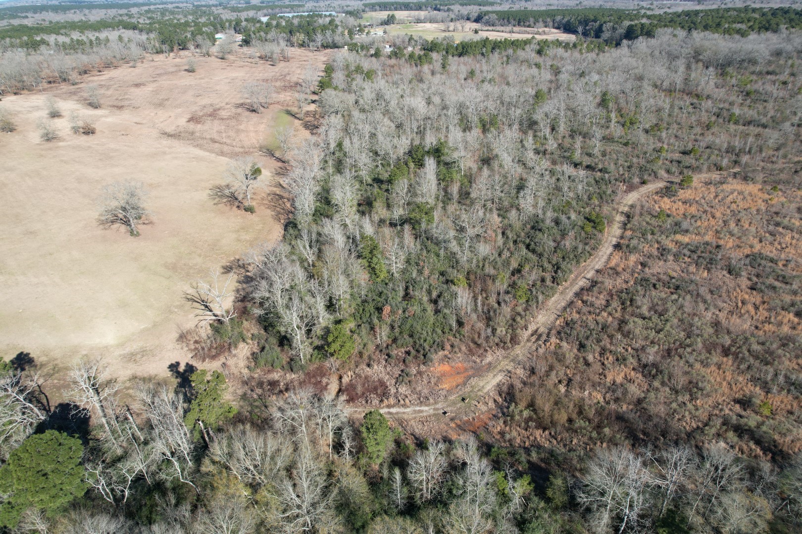 Tbd-b County Road 4021 Timpson TX 75975