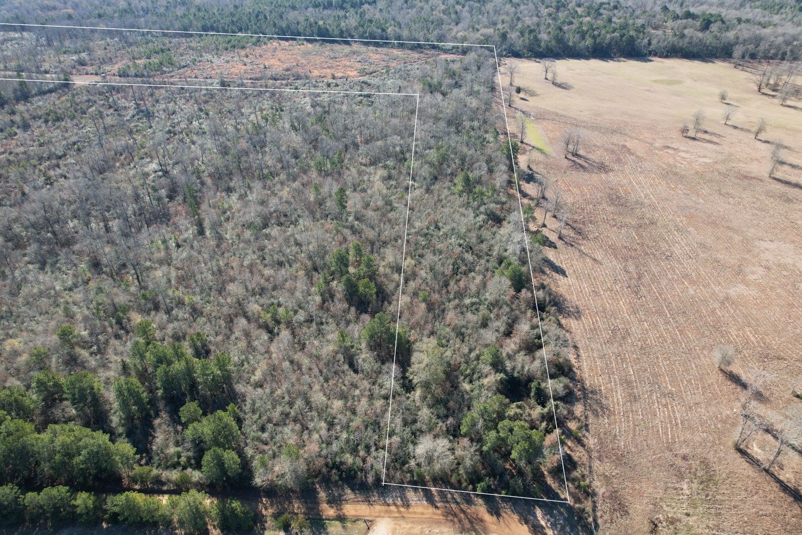 Tbd-b County Road 4021 Timpson TX 75975