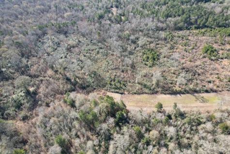 Tbd-b County Road 4021 Timpson TX 75975