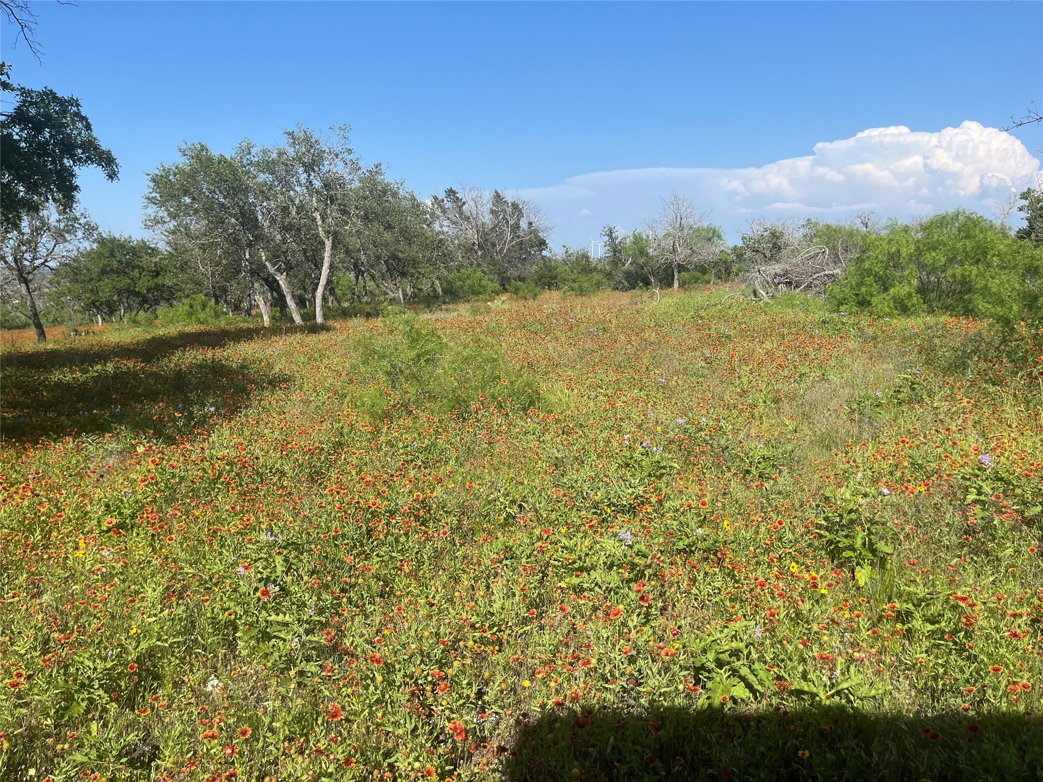 24 County Road 510 Goldthwaite TX 76844
