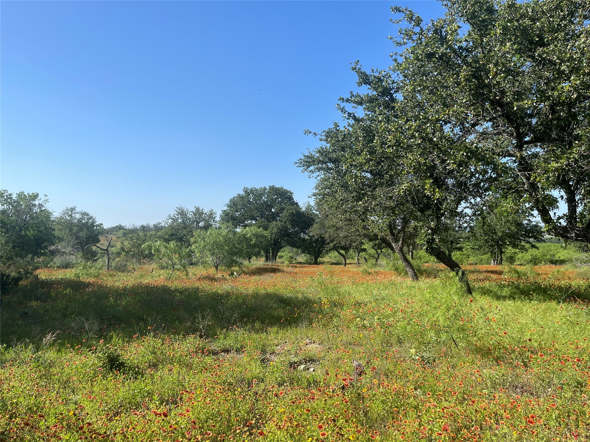 24 County Road 510 Goldthwaite TX 76844