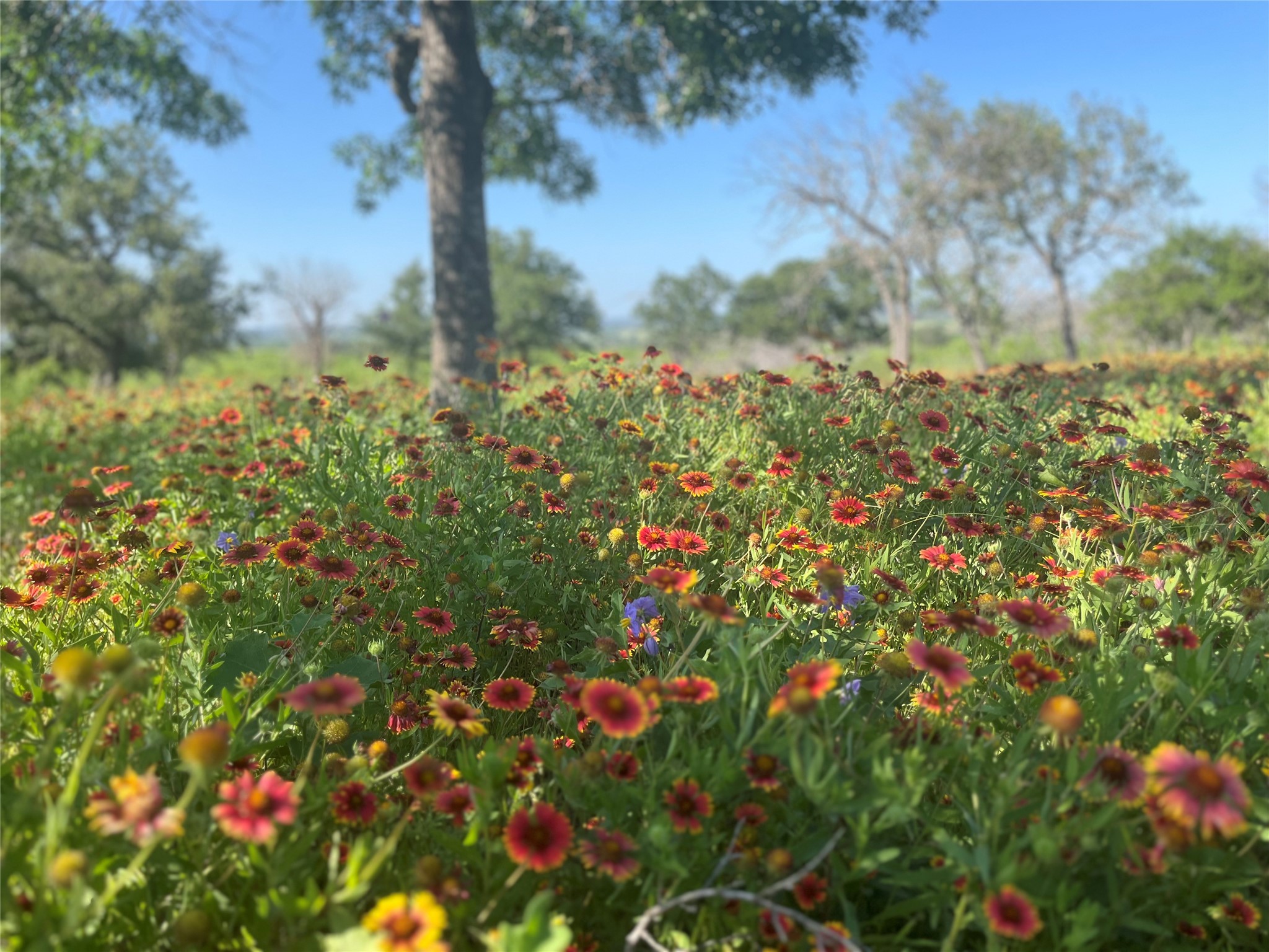 24 County Road 510 Goldthwaite TX 76844
