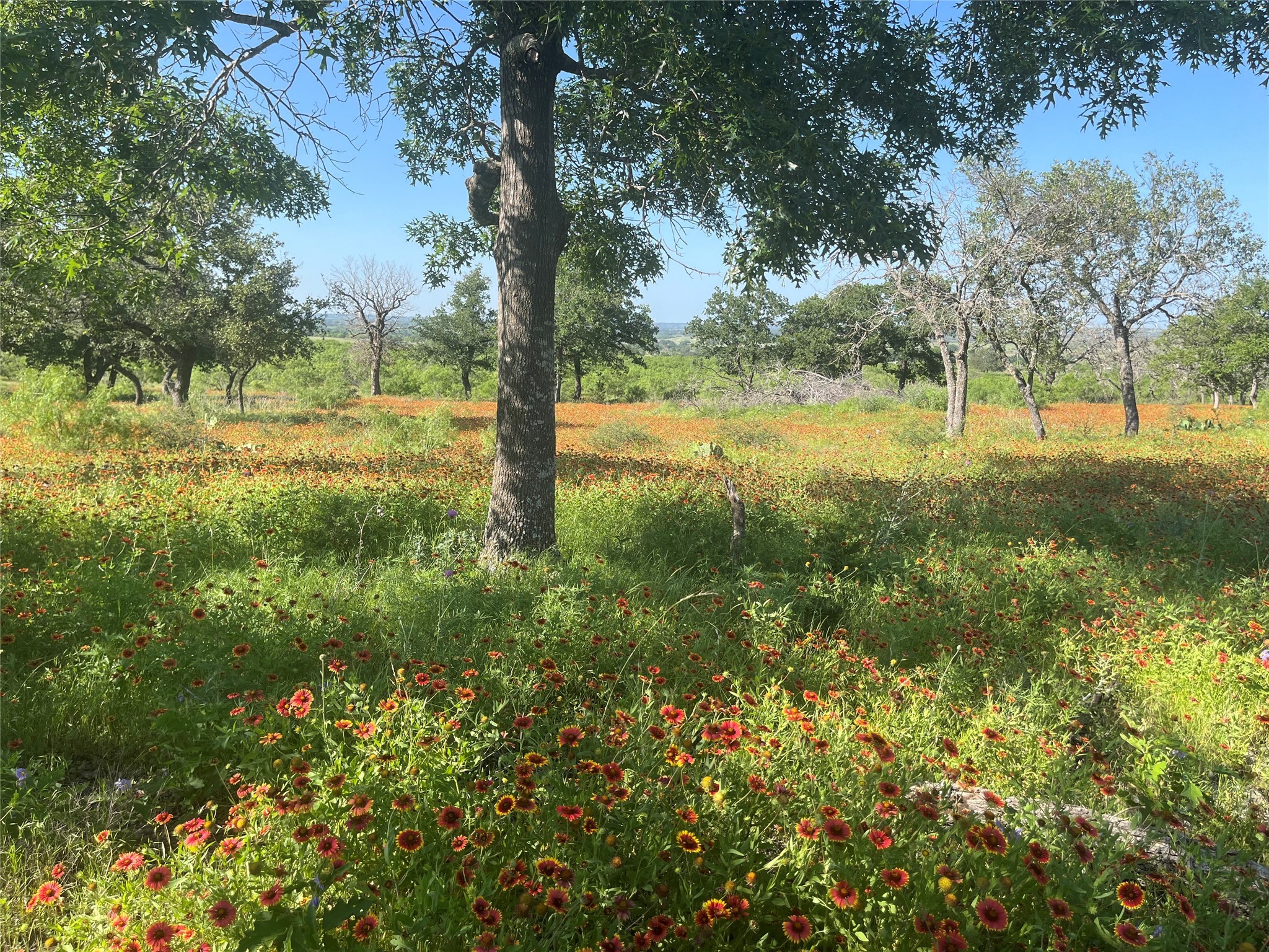 24 County Road 510 Goldthwaite TX 76844