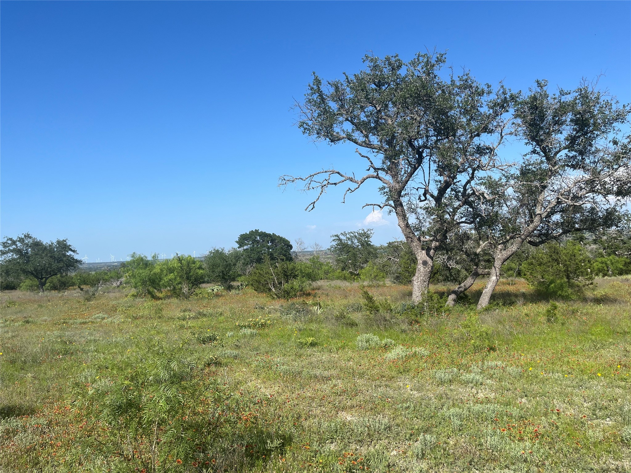 24 County Road 510 Goldthwaite TX 76844