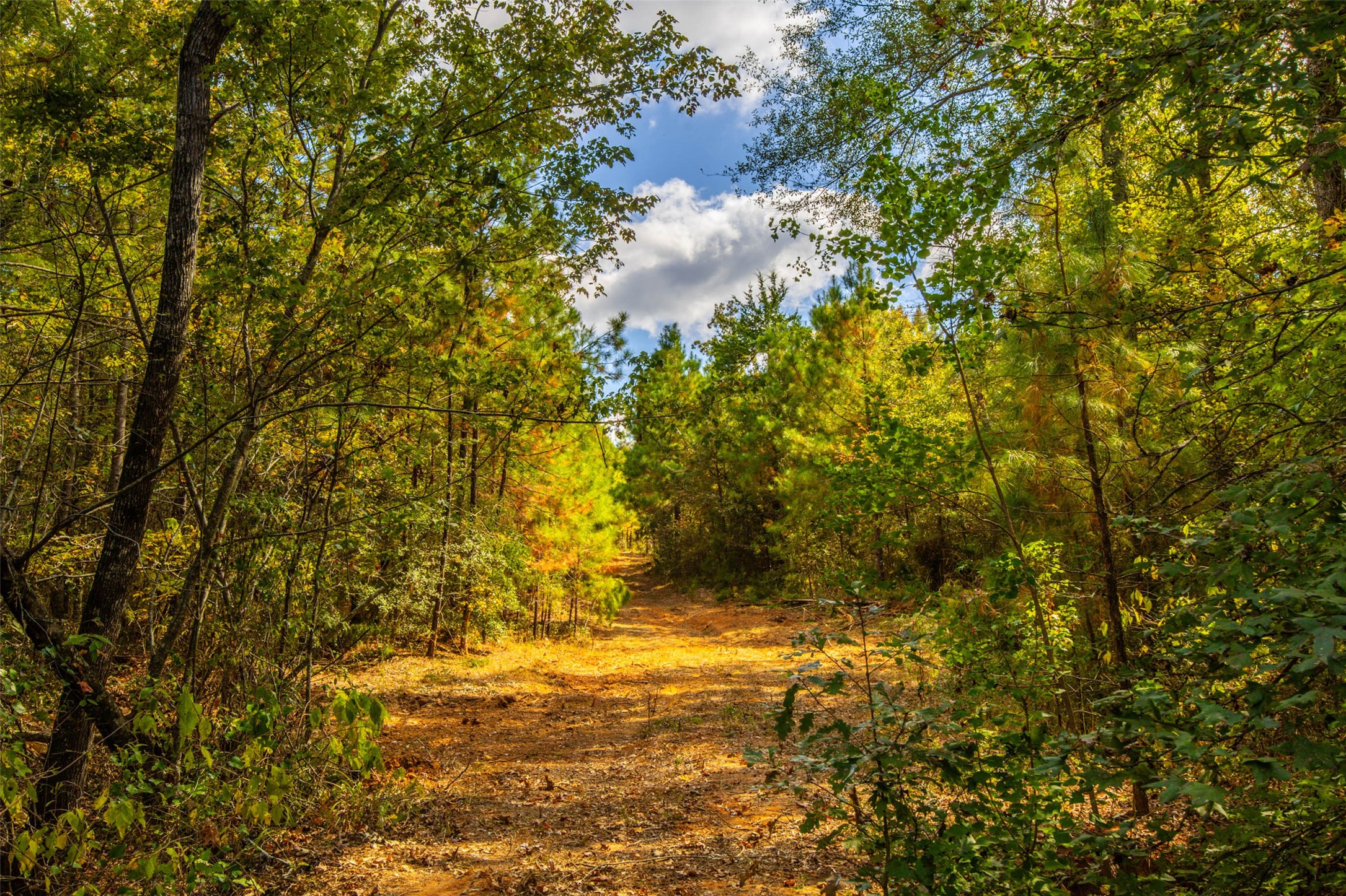 00 County Road 857 Nacogdoches TX 75964