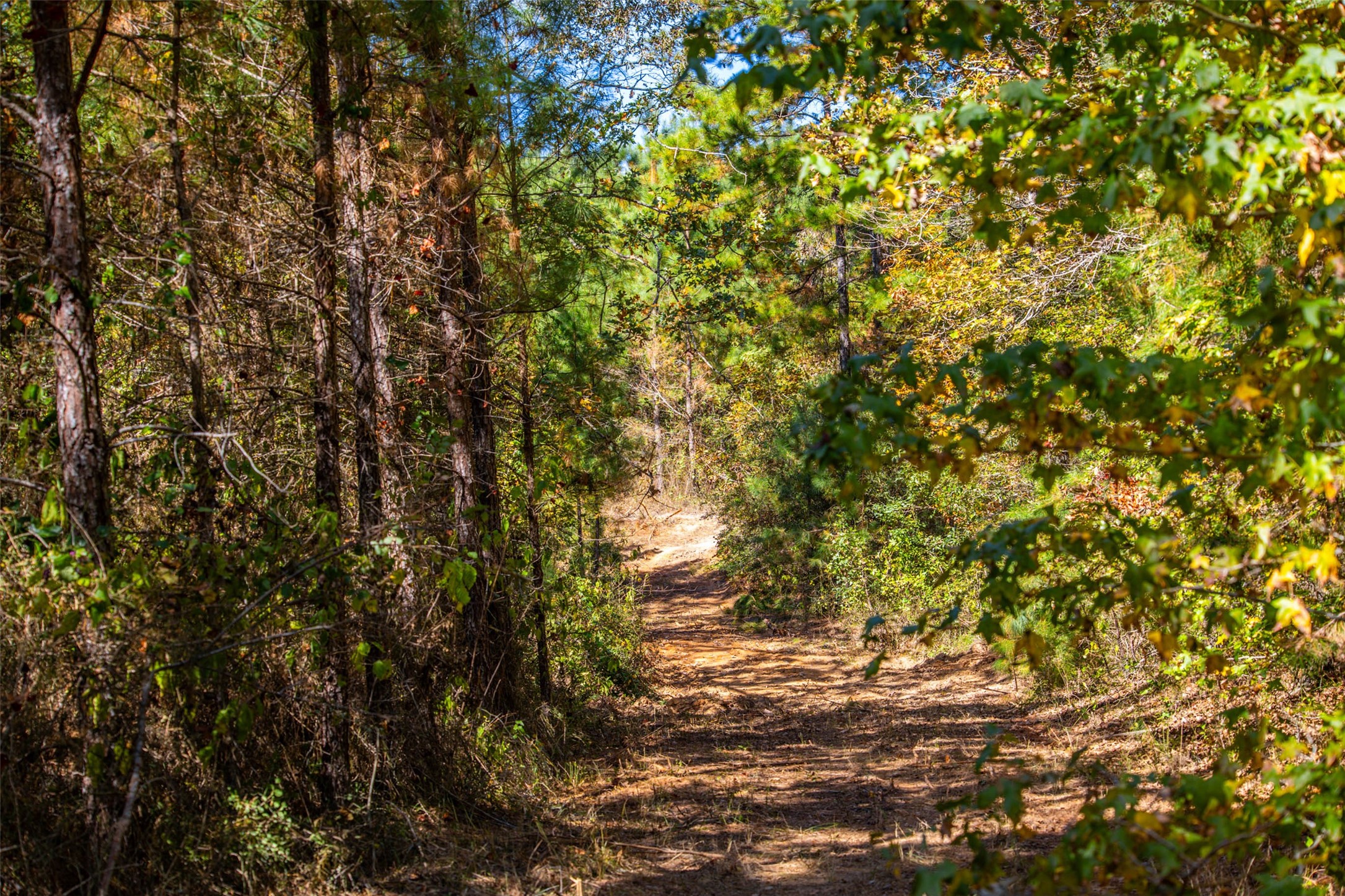 00 County Road 857 Nacogdoches TX 75964