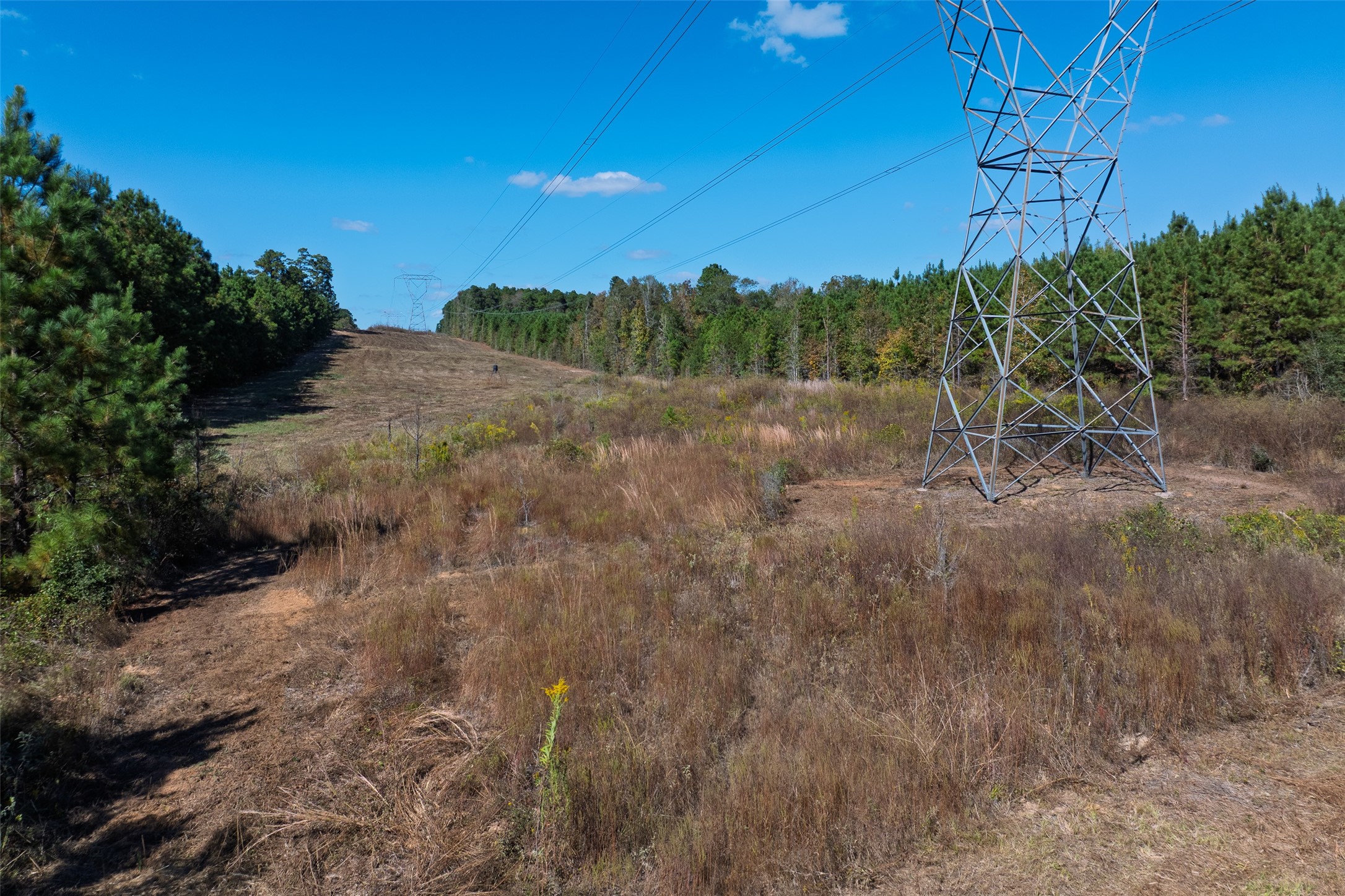 00 County Road 857 Nacogdoches TX 75964