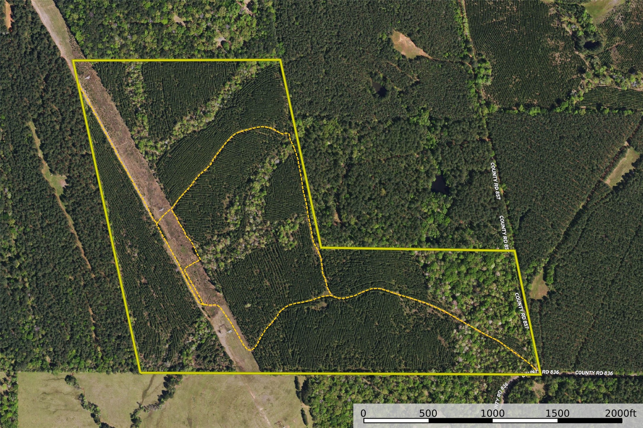 00 County Road 857 Nacogdoches TX 75964