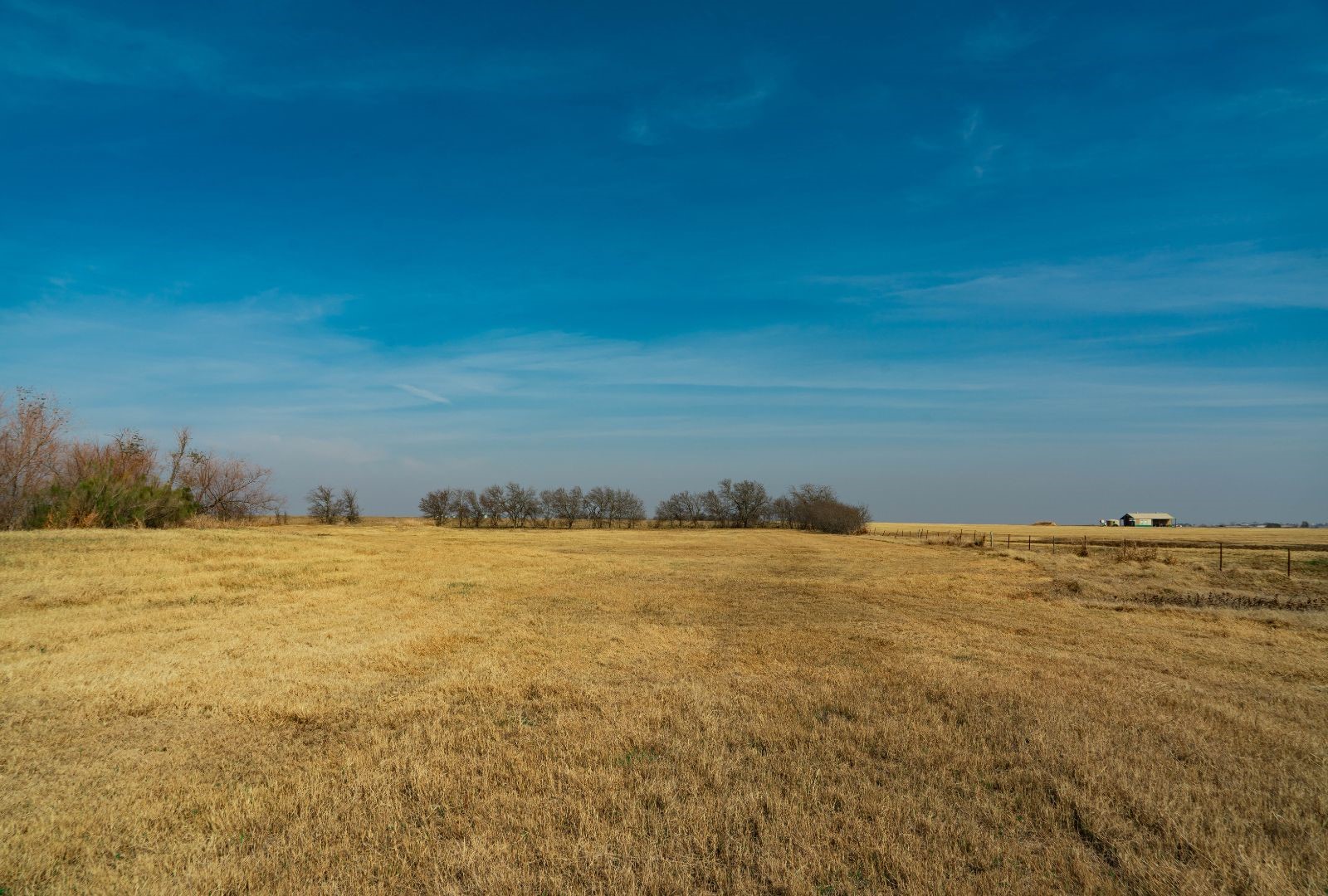 18402 Manda Carlson Road Coupland TX 78615