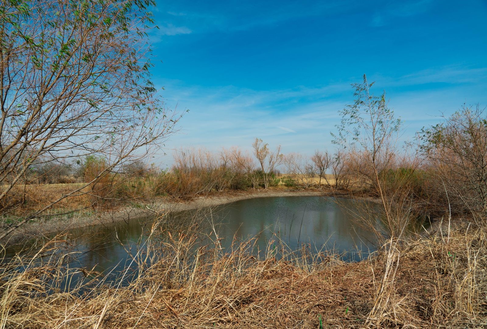 18402 Manda Carlson Road Coupland TX 78615