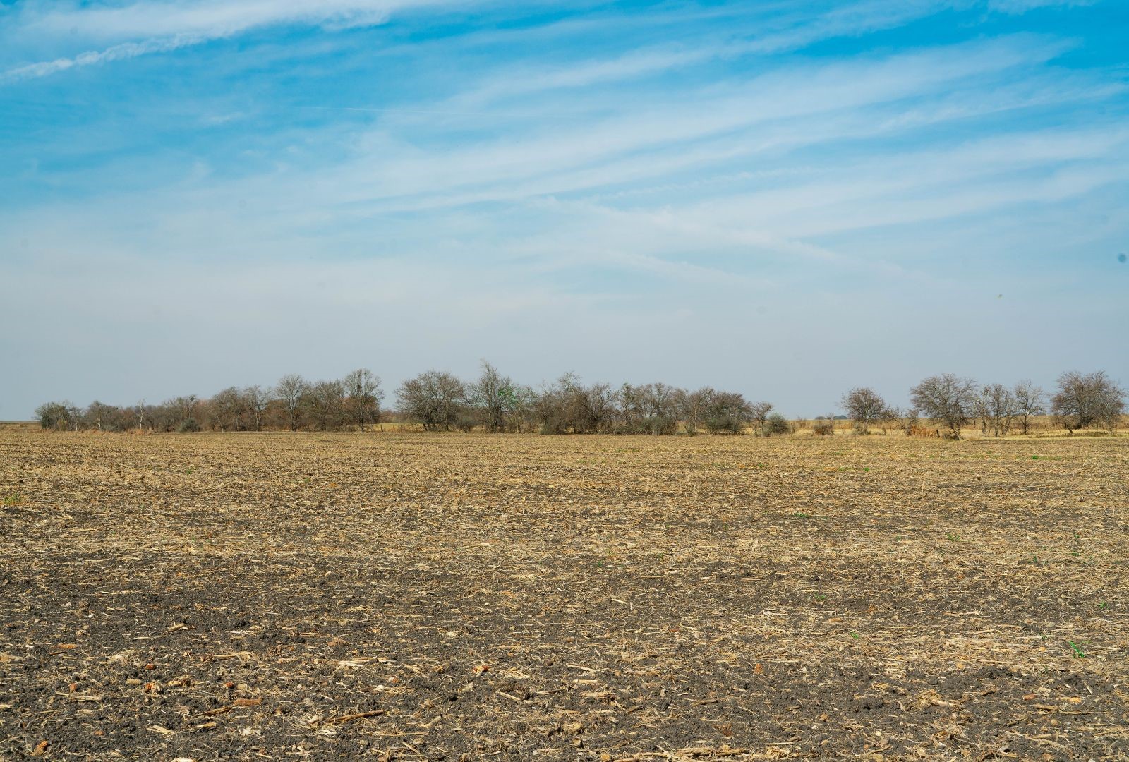 18402 Manda Carlson Road Coupland TX 78615