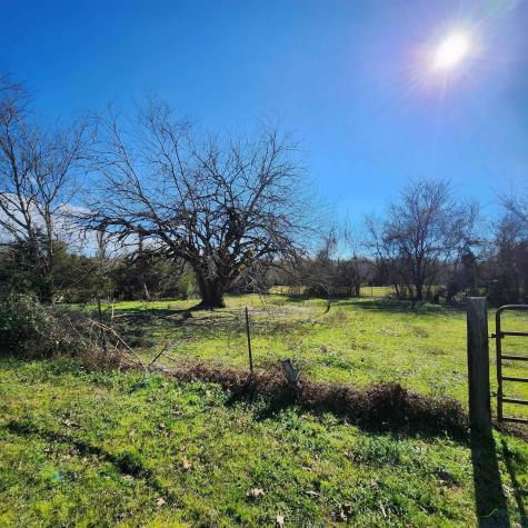 214 Cr 4413 Jacksonville TX 75785