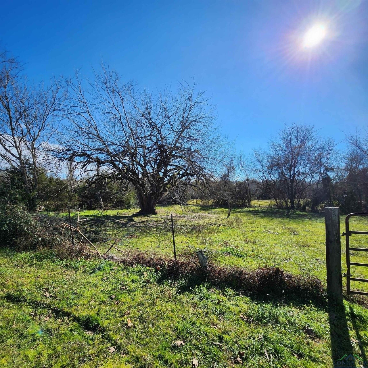 214 Cr 4413 Jacksonville TX 75785