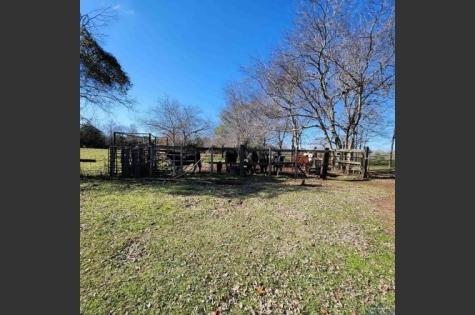 214 Cr 4413 Jacksonville TX 75785