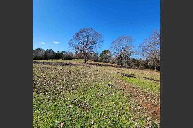 214 Cr 4413 Jacksonville TX 75785