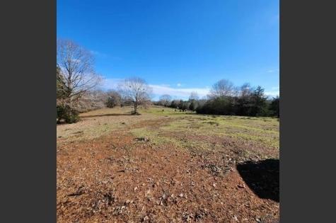 214 Cr 4413 Jacksonville TX 75785