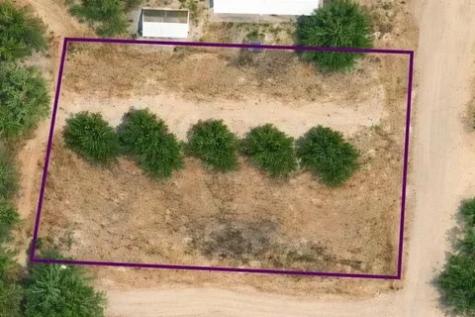2353 Lcr 252 Colorado City TX 79512