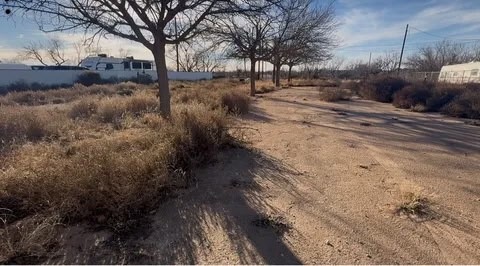 2353 Lcr 252 Colorado City TX 79512