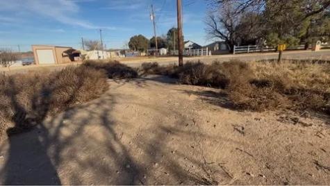 2353 Lcr 252 Colorado City TX 79512