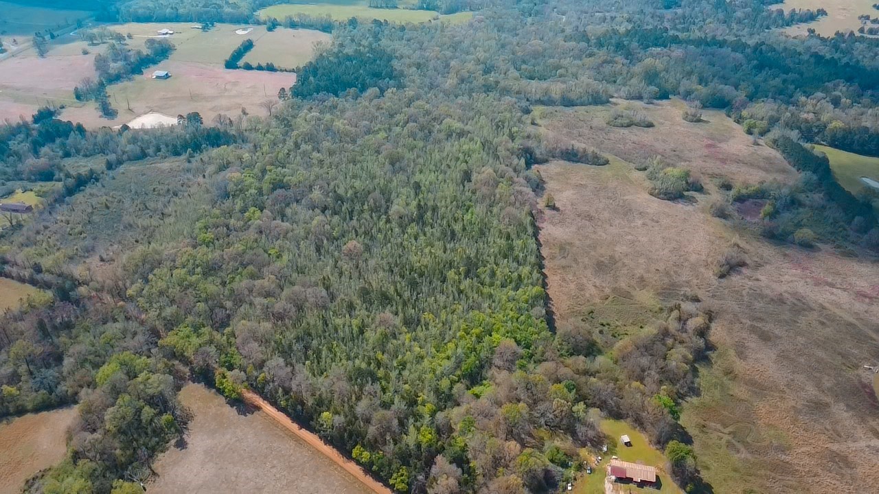 Tbd Cr 4308 Reno Road Naples TX 75568