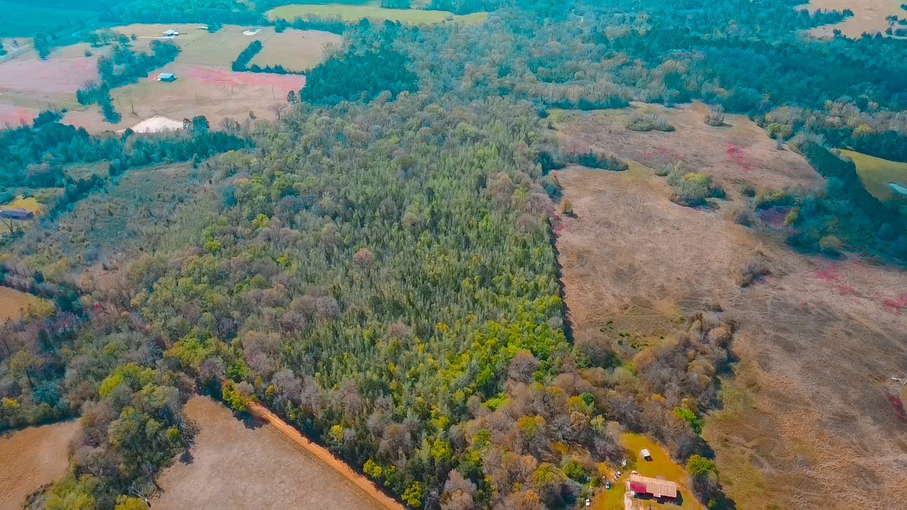 Tbd Cr 4308 Reno Road Naples TX 75568