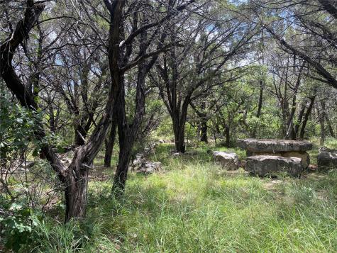 Pr 1032 Tx-p7 Meridian TX 76665