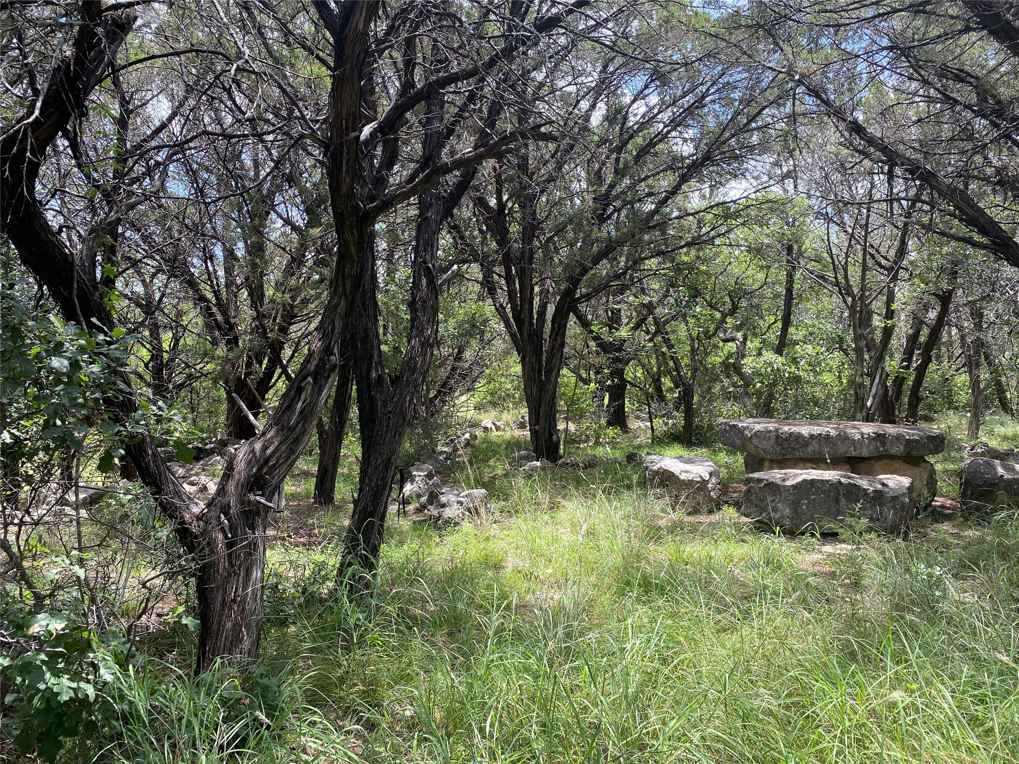 Pr 1032 Tx-p7 Meridian TX 76665