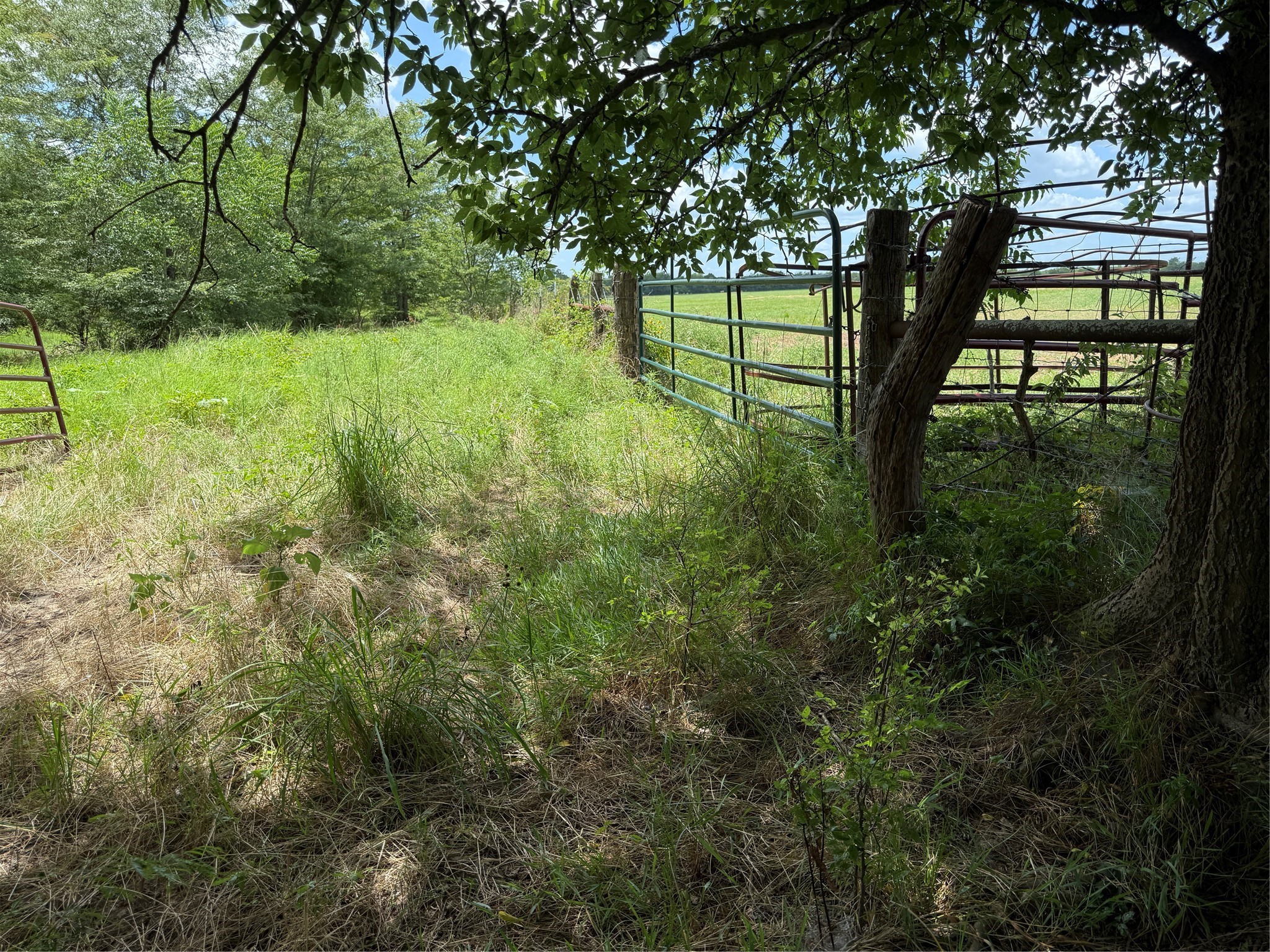 0 Fm 2653 Ws Inside Ridgeway Ranches Road Sulphur Springs TX 75482