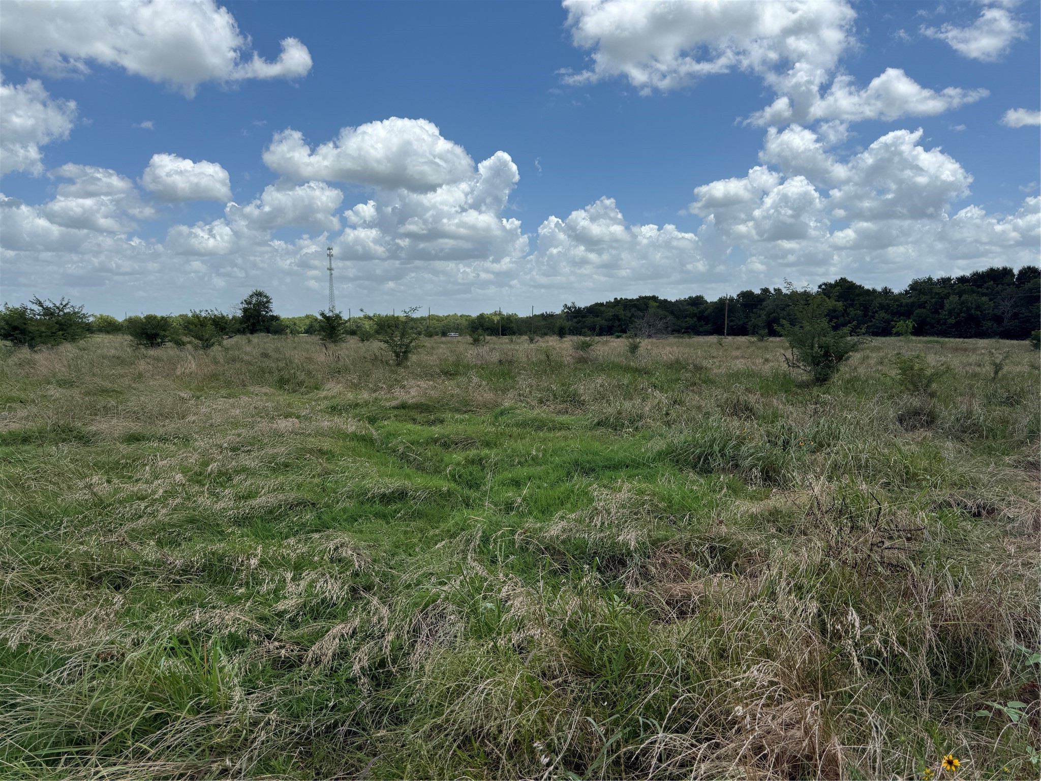 0 Fm 2653 Ws Inside Ridgeway Ranches Road Sulphur Springs TX 75482