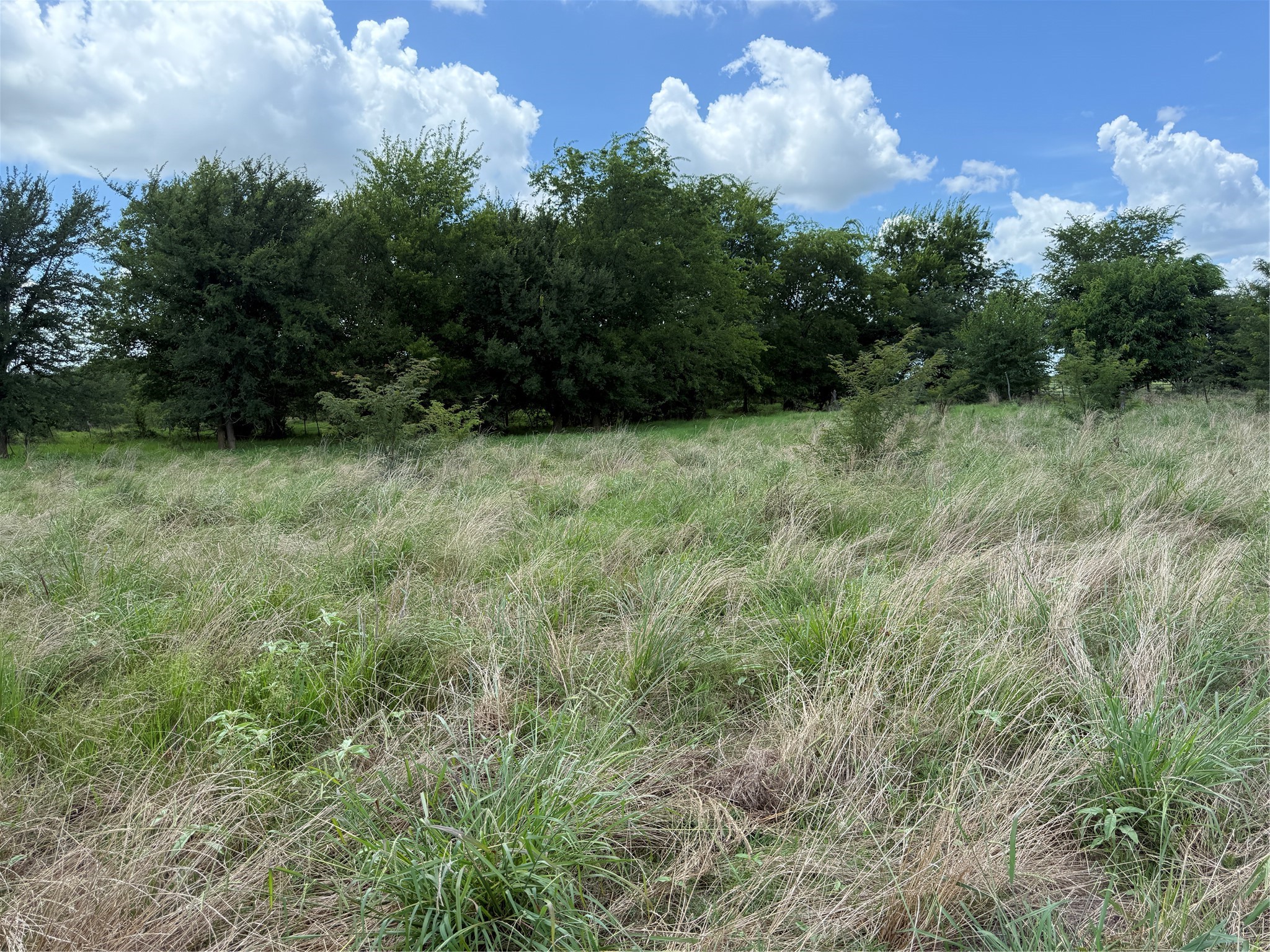 0 Fm 2653 Ws Inside Ridgeway Ranches Road Sulphur Springs TX 75482