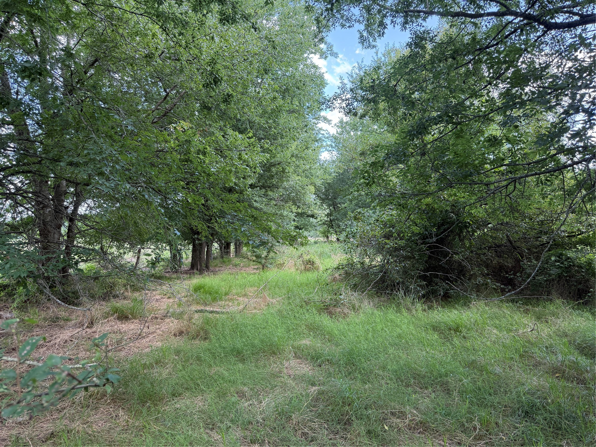 0 Fm 2653 Ws Inside Ridgeway Ranches Road Sulphur Springs TX 75482