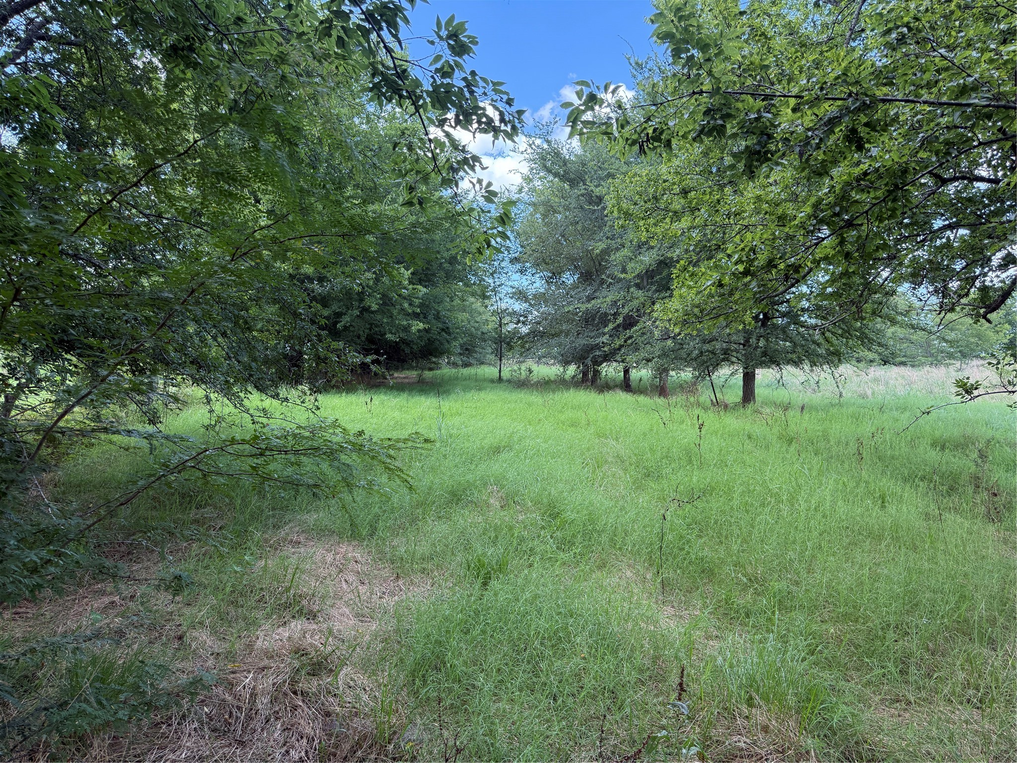 0 Fm 2653 Ws Inside Ridgeway Ranches Road Sulphur Springs TX 75482