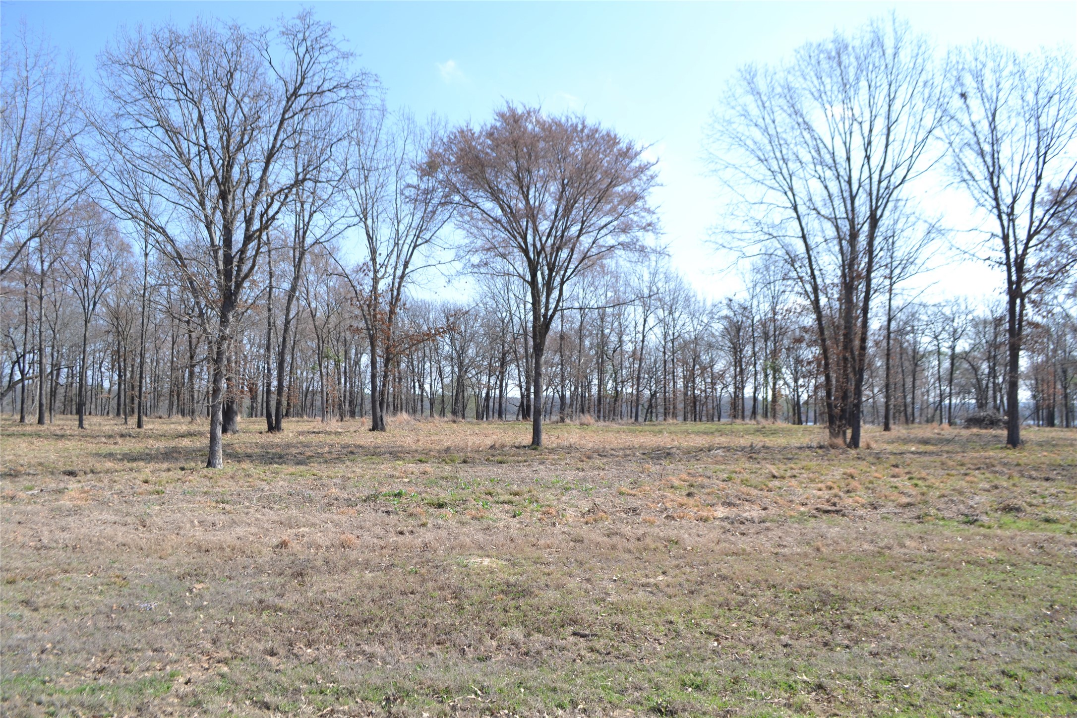 Lot 13 Angler Shores Drive Yantis TX 75497