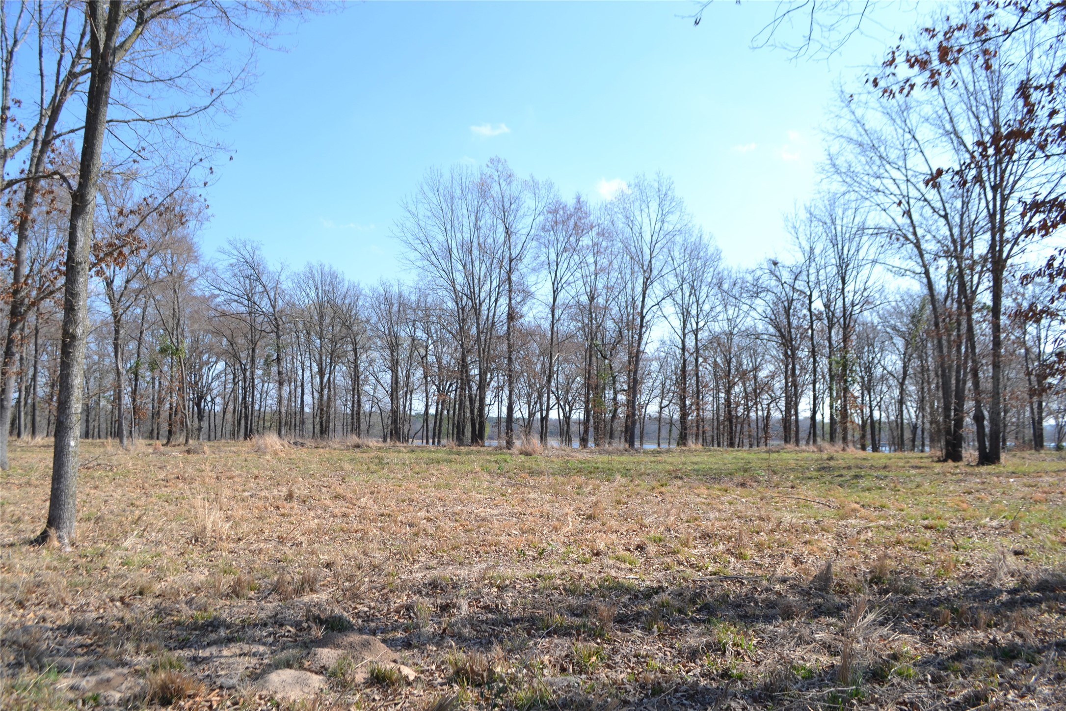 Lot 13 Angler Shores Drive Yantis TX 75497