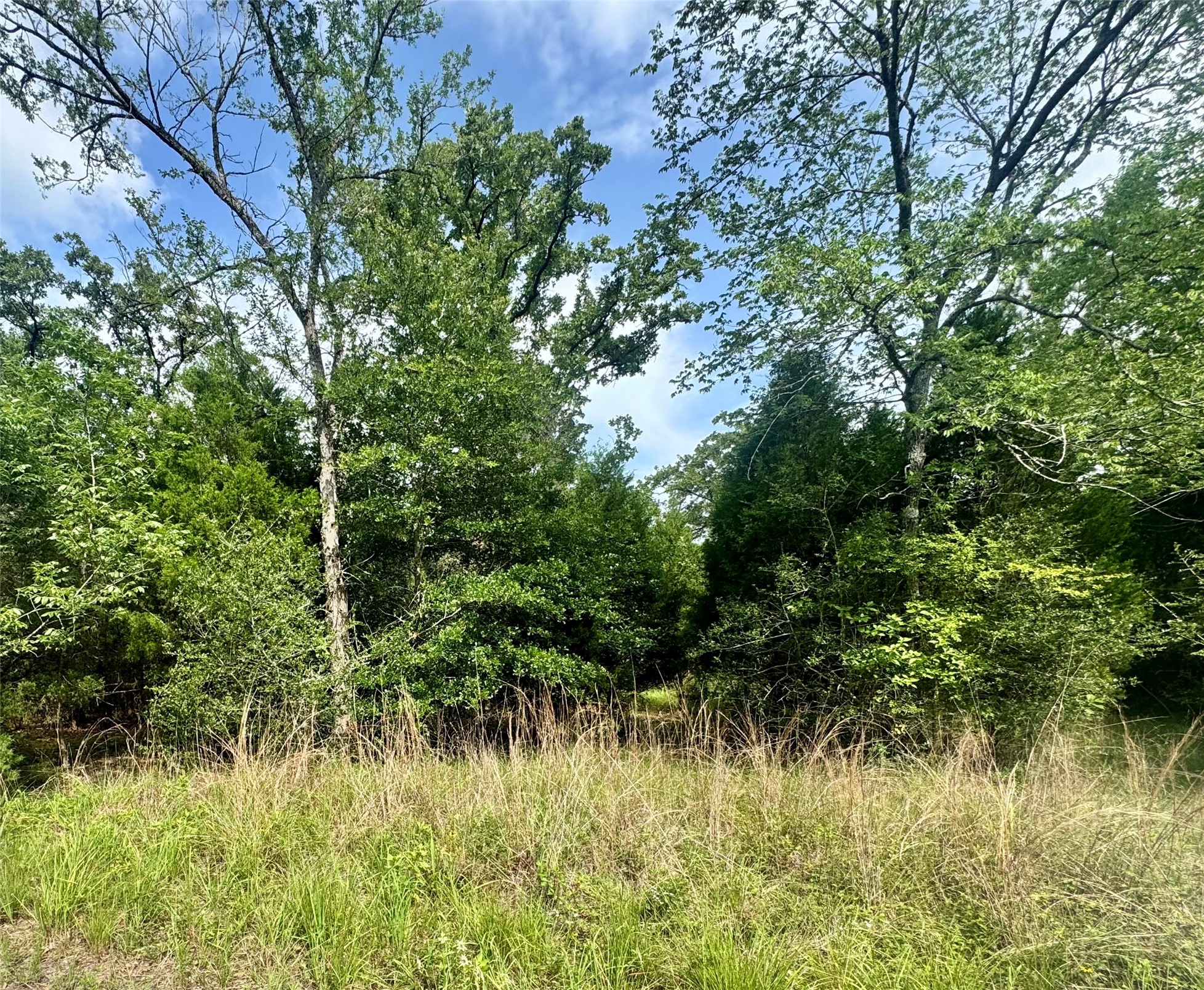 Lot 2111 Butch Cassidy Drive Log Cabin TX 75148