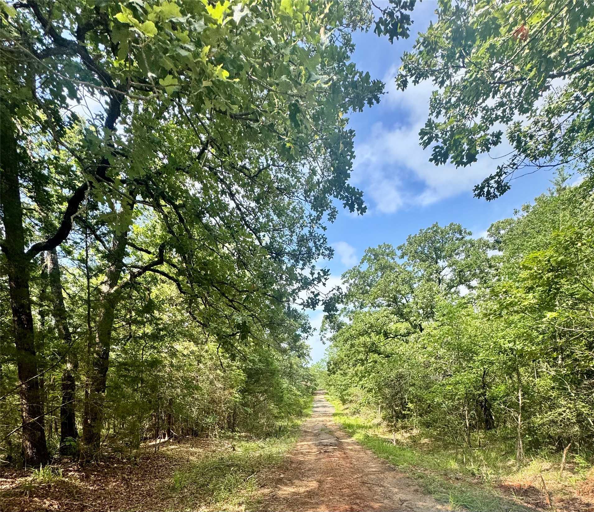 Lot 2111 Butch Cassidy Drive Log Cabin TX 75148